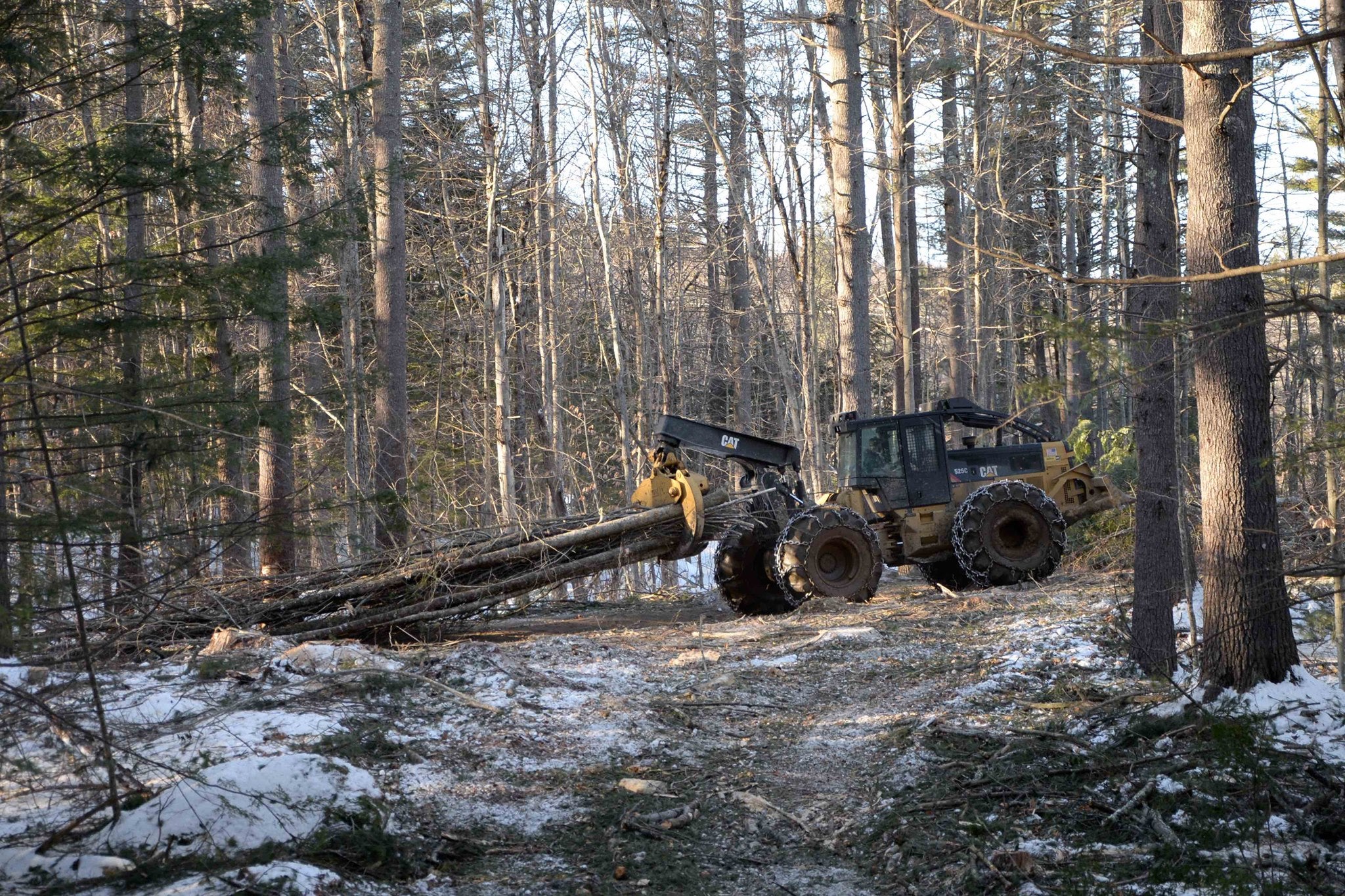 Logging adds over 600M to Maine economy, but the industry can't find